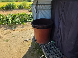 장은주님의 기타작물 · 영농일지 작성글 사진