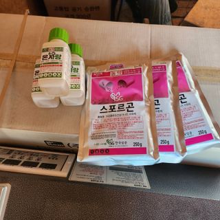 블랙조님의 작성글 사진