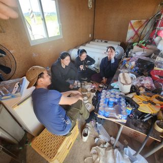 블랙조님의 딸기 · 영농일지 작성글 사진