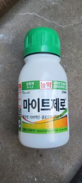 팜모닝 귤·영농일지 게시글 이미지