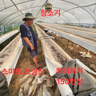 블랙조님의 딸기 · 영농일지 작성글 사진