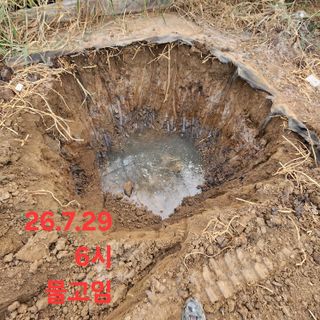 블랙조님의 딸기 · 영농일지 작성글 사진