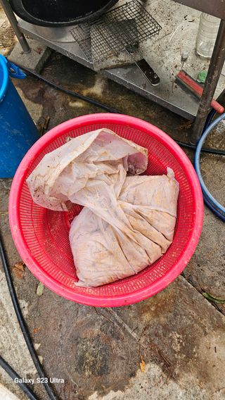 염봉섭님의 기타작물 · 영농일지 작성글 사진