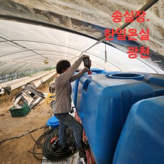 블랙조님의 작성글 사진