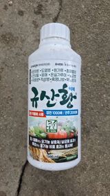  조약돌님의 작성글 사진
