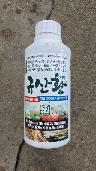  조약돌님의 배추 · 영농일지 작성글 사진