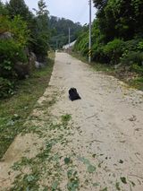 팜모닝 기타작물·영농일지 게시글 이미지