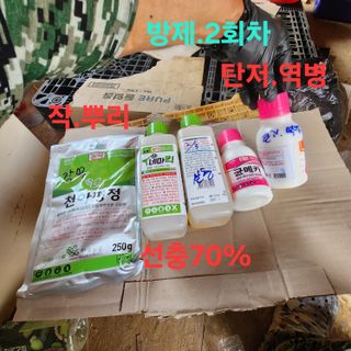 블랙조님의 딸기 · 영농일지 작성글 사진
