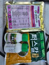팜모닝 귤·영농일지 게시글 이미지