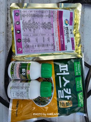 모래알님의 귤 · 영농일지 작성글 사진