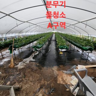블랙조님의 기타작물 · 영농일지 작성글 사진