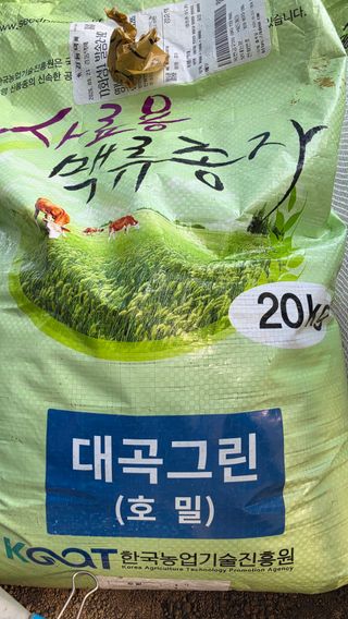 이지은님의 들깨 · 영농일지 작성글 사진