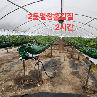 블랙조님의 기타작물 · 영농일지 작성글 사진