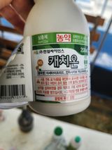 장순욱님의 작성글 사진