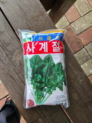 이영철님의 시금치 · 영농일지 작성글 사진