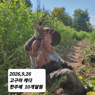 시민농장님의 기타작물 · 영농일지 작성글 사진
