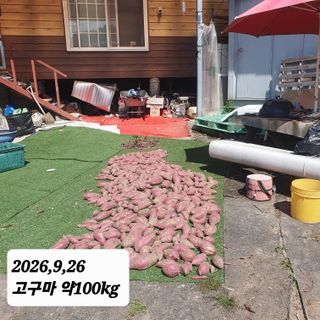 시민농장님의 기타작물 · 영농일지 작성글 사진