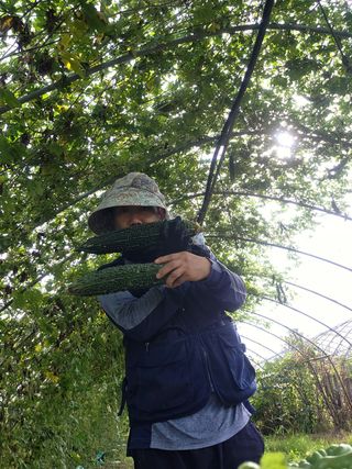 제키님의 기타작물 · 영농일지 작성글 사진