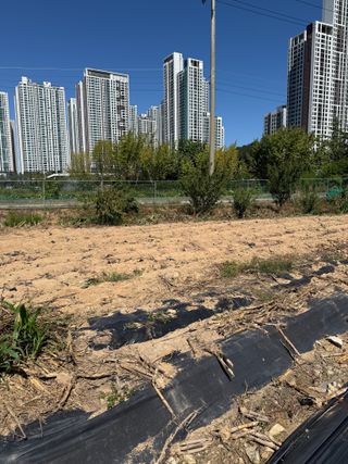 베리의정원님의 기타작물 · 영농일지 작성글 사진
