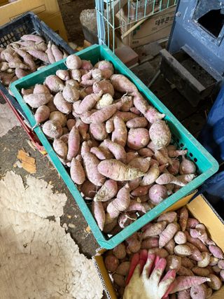 베리의정원님의 기타작물 · 영농일지 작성글 사진
