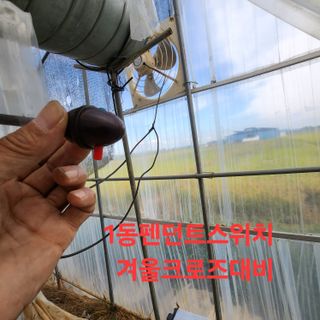 블랙조님의 기타작물 · 영농일지 작성글 사진