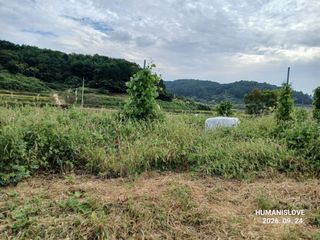 김건형님의 기타작물 · 영농일지 작성글 사진