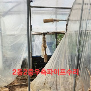블랙조님의 기타작물 · 영농일지 작성글 사진