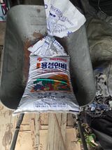 정영석님의 작성글 사진