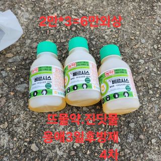 블랙조님의 기타작물 · 영농일지 작성글 사진