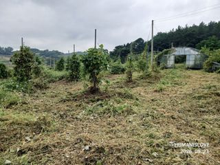 김건형님의 기타작물 · 영농일지 작성글 사진