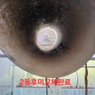 블랙조님의 기타작물 · 영농일지 작성글 사진