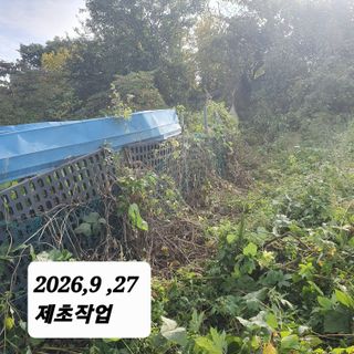 시민농장님의 기타작물 · 영농일지 작성글 사진