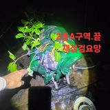 블랙조님의 작성글 사진