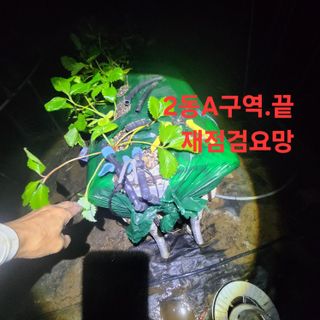 블랙조님의 기타작물 · 영농일지 작성글 사진