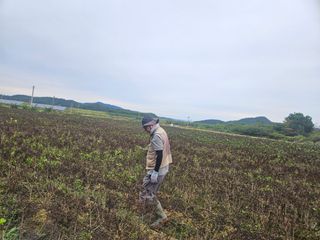 김신열님의 기타작물 · 영농일지 작성글 사진