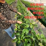 블랙조님의 작성글 사진