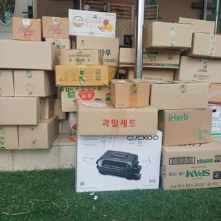 삼성농산님의 파 · 영농일지 작성글 사진