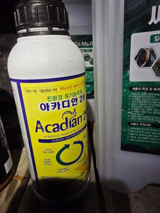 한대용님의 기타작물 · 영농일지 작성글 사진