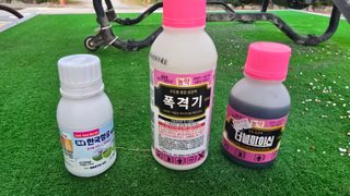 백보승님의 기타작물 · 영농일지 작성글 사진