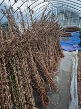 이덕훈(바쁜사람)님의 작성글 사진
