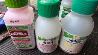 가야산도사님의 기타작물 · 영농일지 작성글 사진