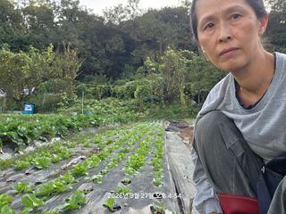 님의 기타작물 · 영농일지 작성글 사진