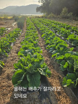 윤재하님의 기타작물 · 영농일지 작성글 사진