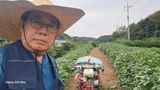 염봉섭님의 작성글 사진