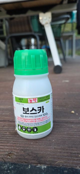 고구마15091님의 배추 · 영농일지 작성글 사진