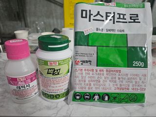 김상엽님의 딸기 · 영농일지 작성글 사진
