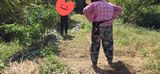 경주농장님의 작성글 사진