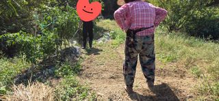 경주농장님의 상추 · 영농일지 작성글 사진