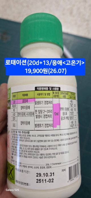 kia1588님의 귤 · 영농일지 작성글 사진