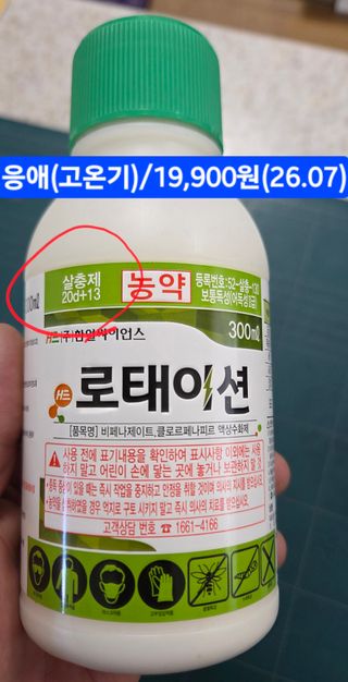 kia1588님의 귤 · 영농일지 작성글 사진
